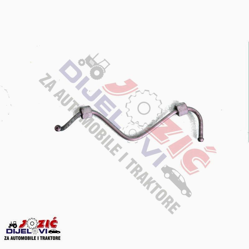 Daisy on the Ohoopee